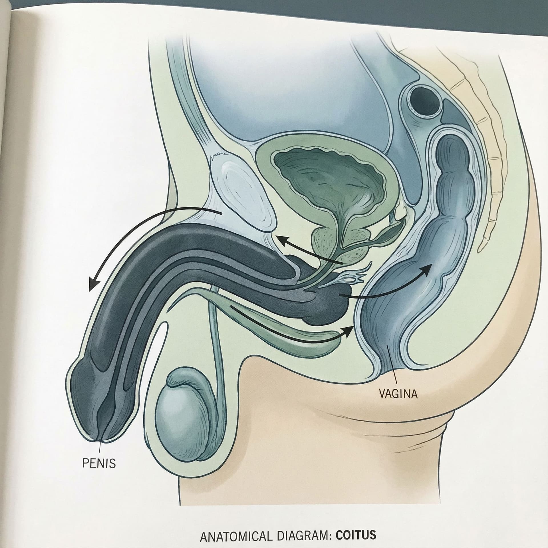 AI generated: Large black penis thrusting in vagina
