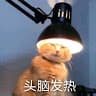 @tangjiayi843