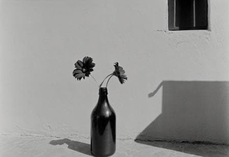KB_ilford_xp_super - Image 4