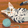 fanzhengxiang's avatar