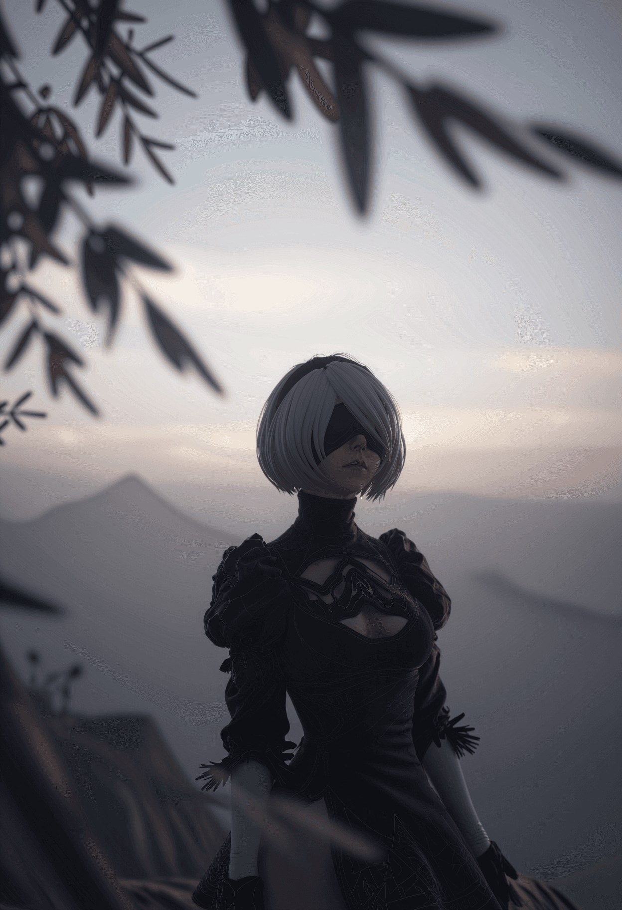 2B - Image 2