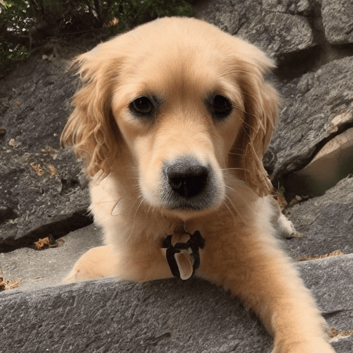 AI generated: dog
