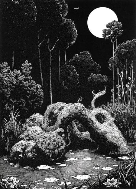 Franklin Booth Style - Image 4