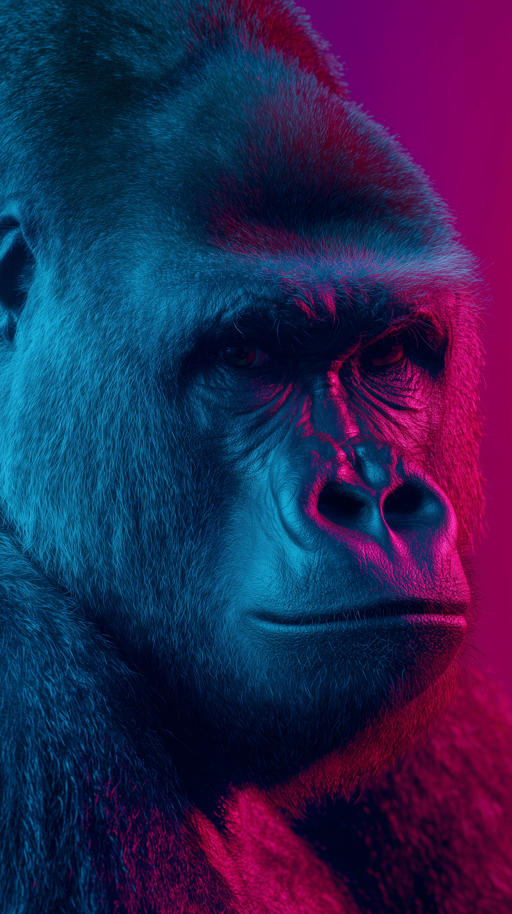 AI generated: cinematic portrait of a gorilla, staring to camera, neon pink and cyan lights, depth of field, f1.8,...