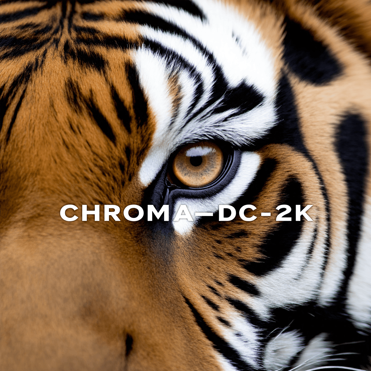 Chroma-Flash-Heun - Image 5