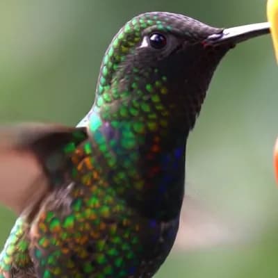 AI generated video: zoom in