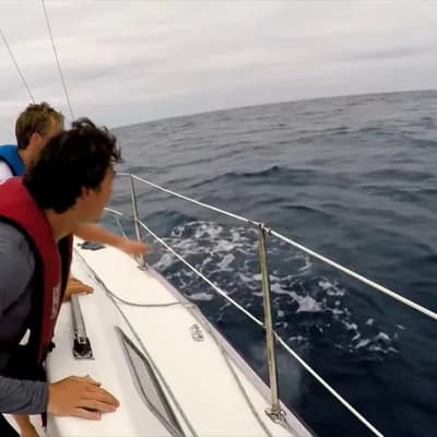 AI generated video: A group of young men are sailing on a small white sailboat in the open ocean. The camera records in ...