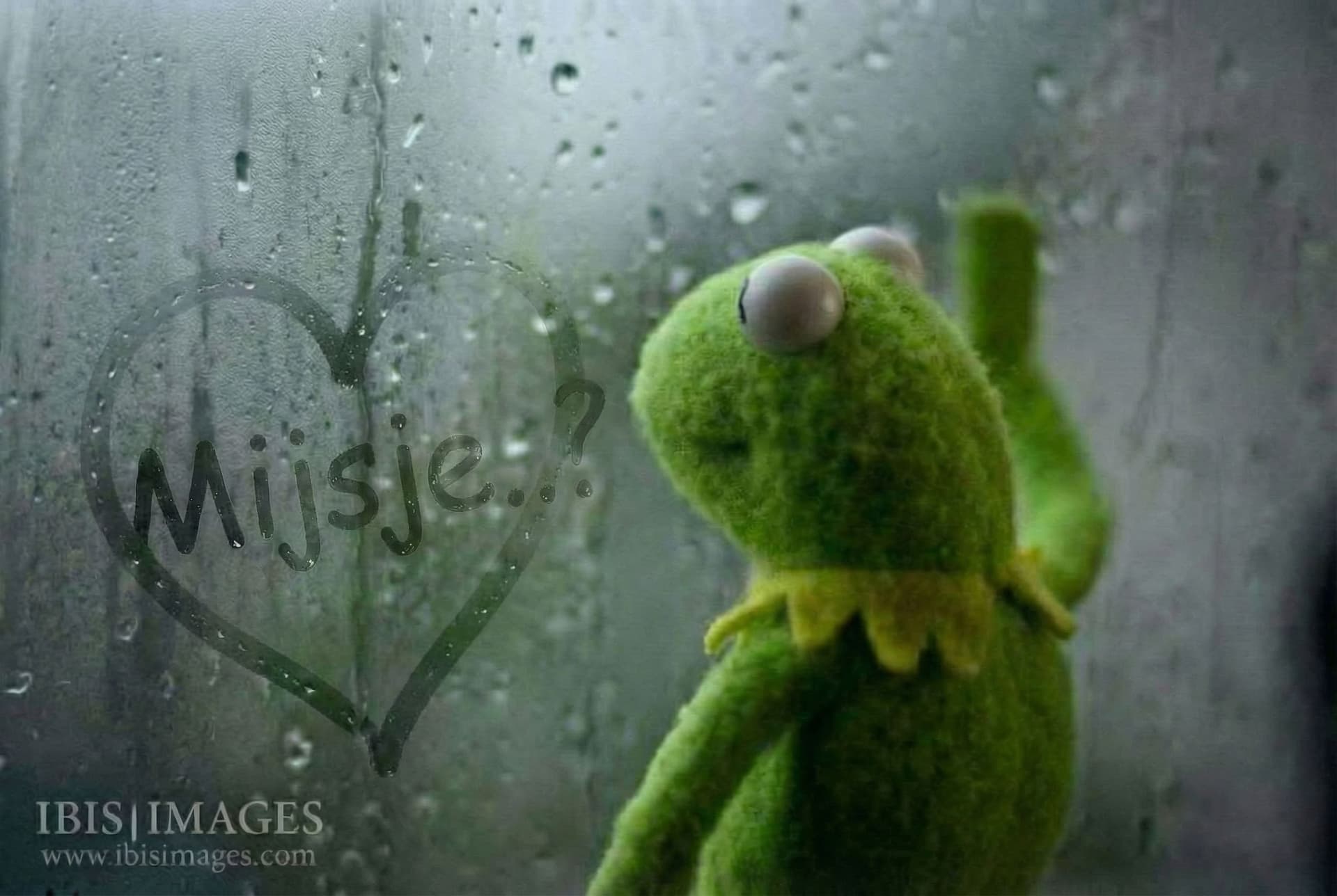 AI generated: Kermit the frog waiting for a response by the window. There is fog on the window and the name "Mijsj...