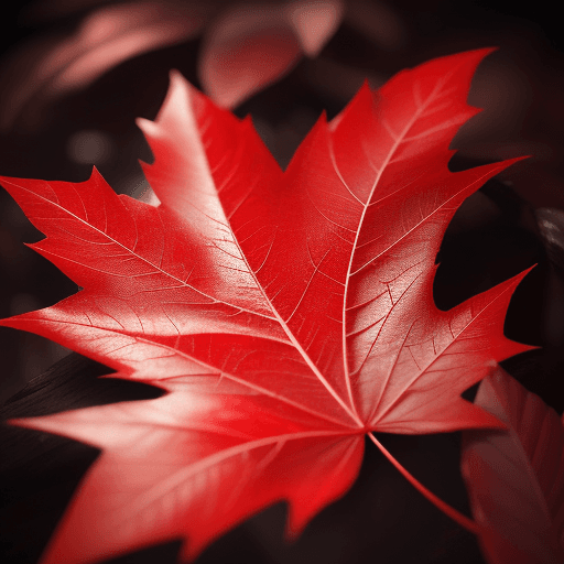 AI generated: a professional photographic,visual impact, red leaf, 8k, 4k, sharp,light effect,cinematic,{{best qua...