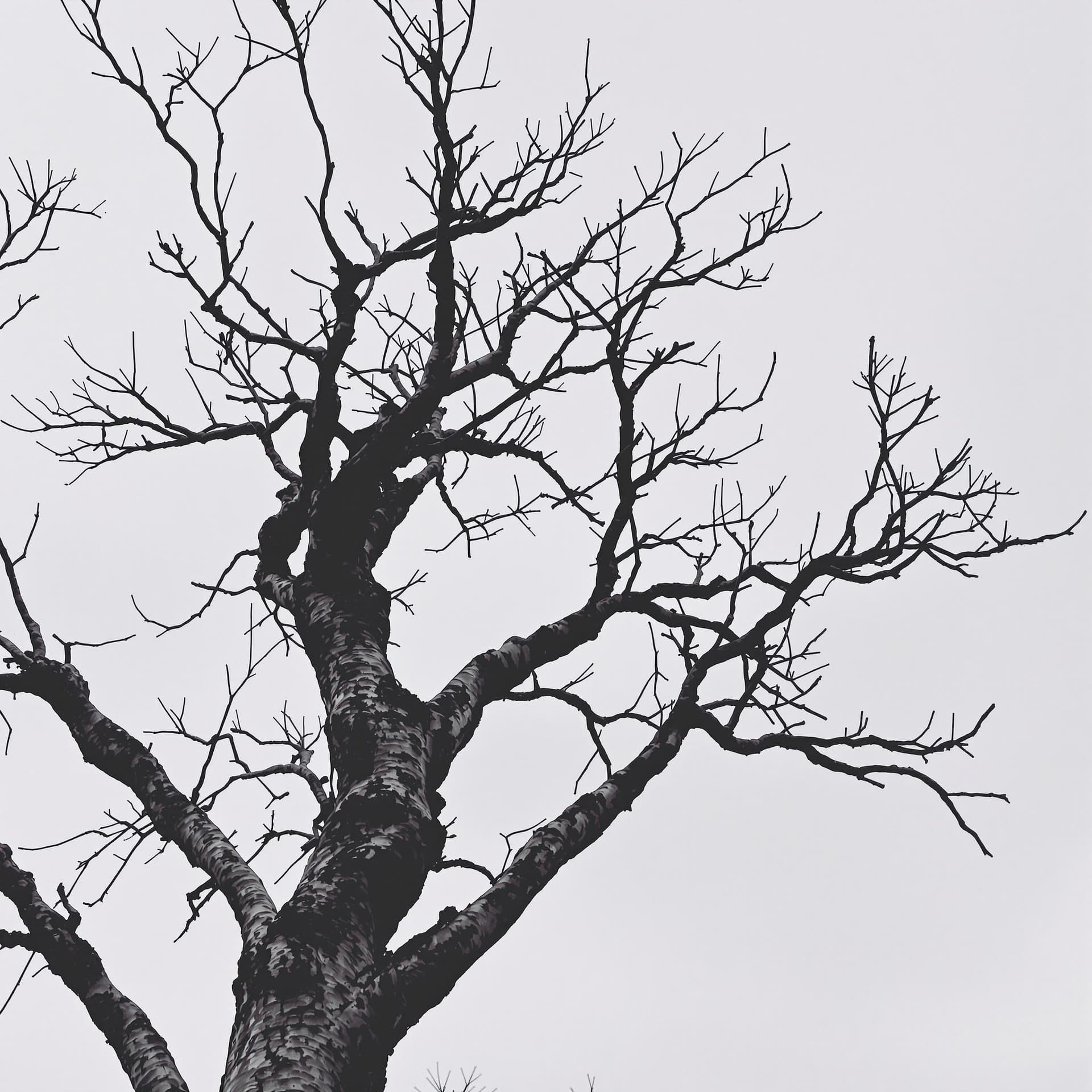 AI generated: Tree
