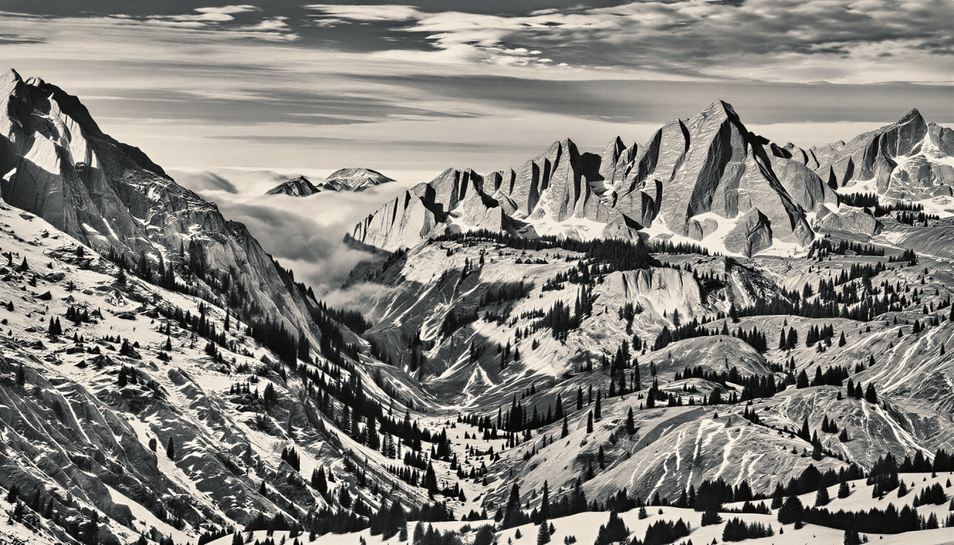 Ansel Adams Photography - Image 5