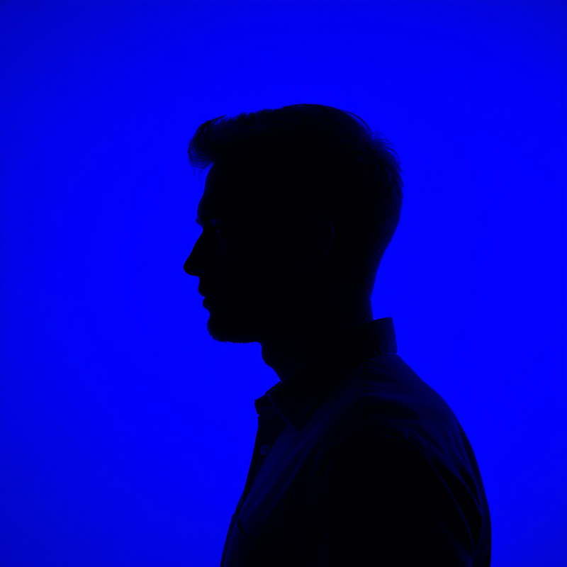 A sample prompt of what you can find in this page