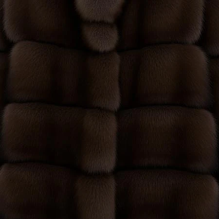Featured image #2 for Flux-Sable Fur