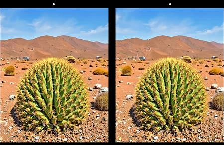 Featured image #2 for Flux 3D Side-By-Side (Experimental Stereoscopic LoRA)