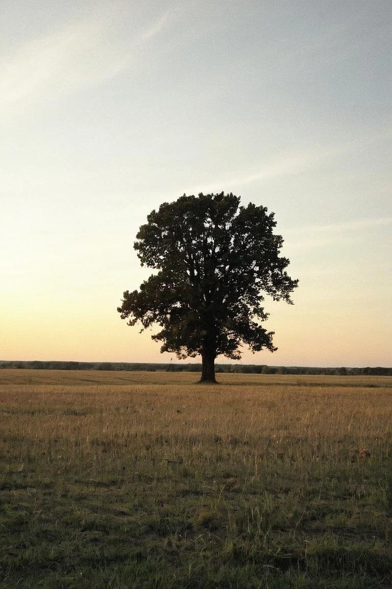 Featured image #1 for HuslyoRealismXL