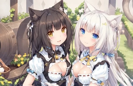 Featured image #1 for Nekopara (Chocolat and Vanilla)
