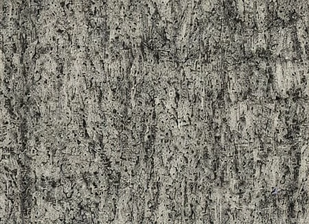 Featured image #5 for Frottage - patterns and abstraction