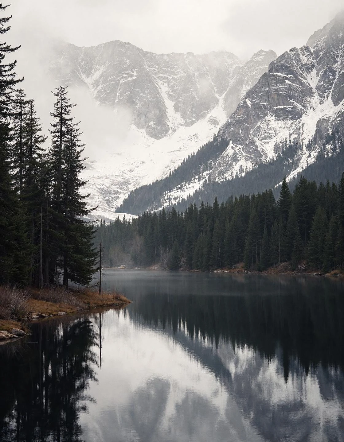 Featured image #4 for Pandora | FLUX