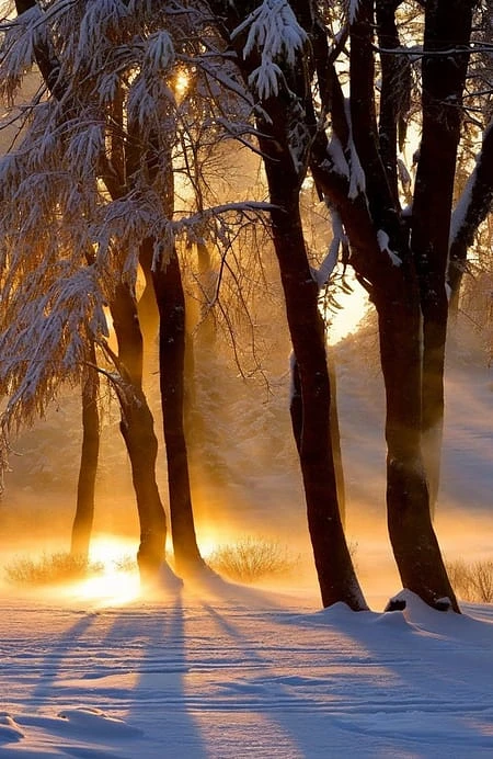 Featured image #3 for Winter Style SD 2.1
