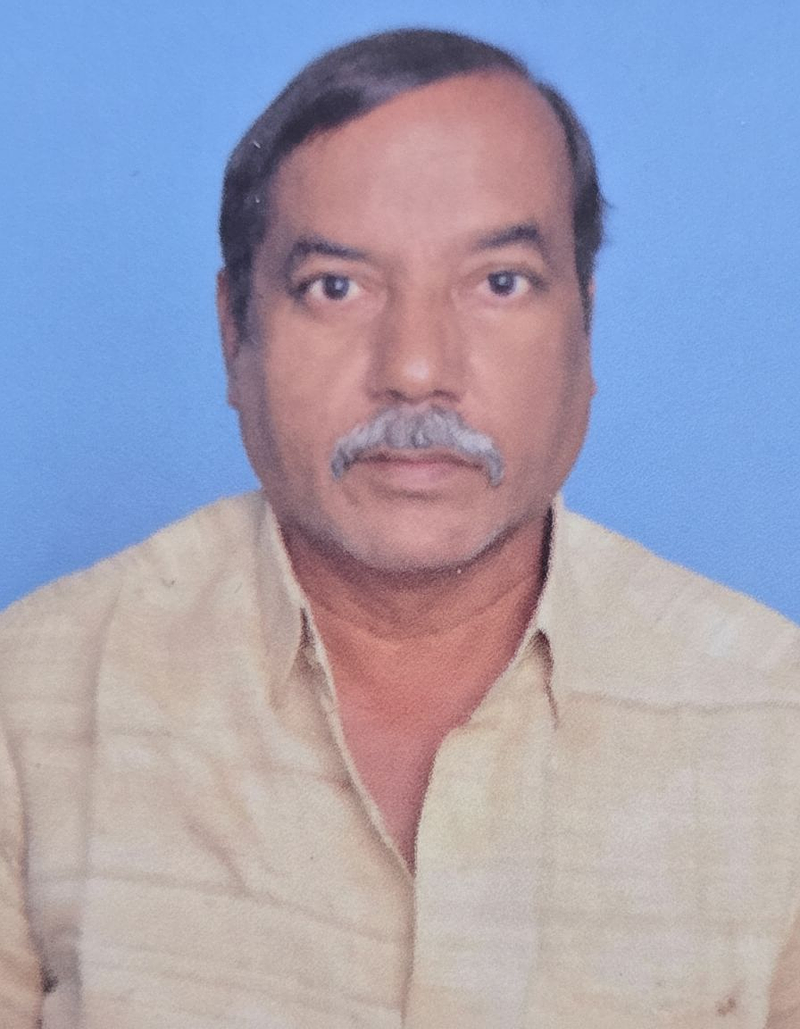 A sample prompt of what you can find in this page