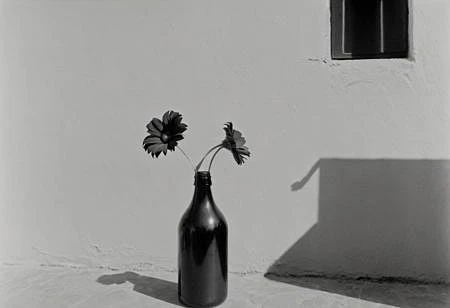 Featured image #4 for KB_ilford_xp_super