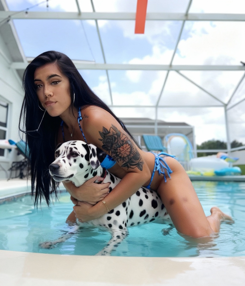 A sample prompt of what you can find in this page