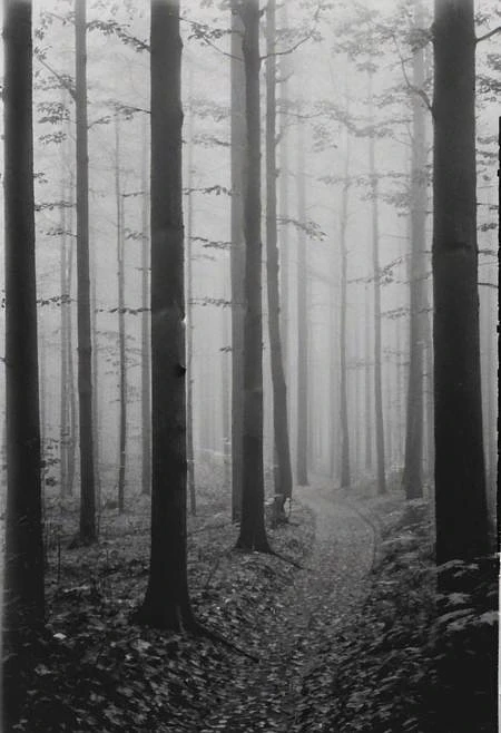 Featured image #6 for KB_Kentmere400