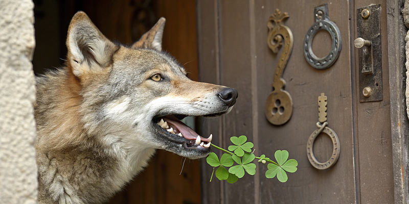 A sample prompt of what you can find in this page