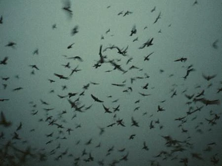 Featured image #3 for 8mm Film Lora_Flux_LatentShadows_v1 (workflow included)