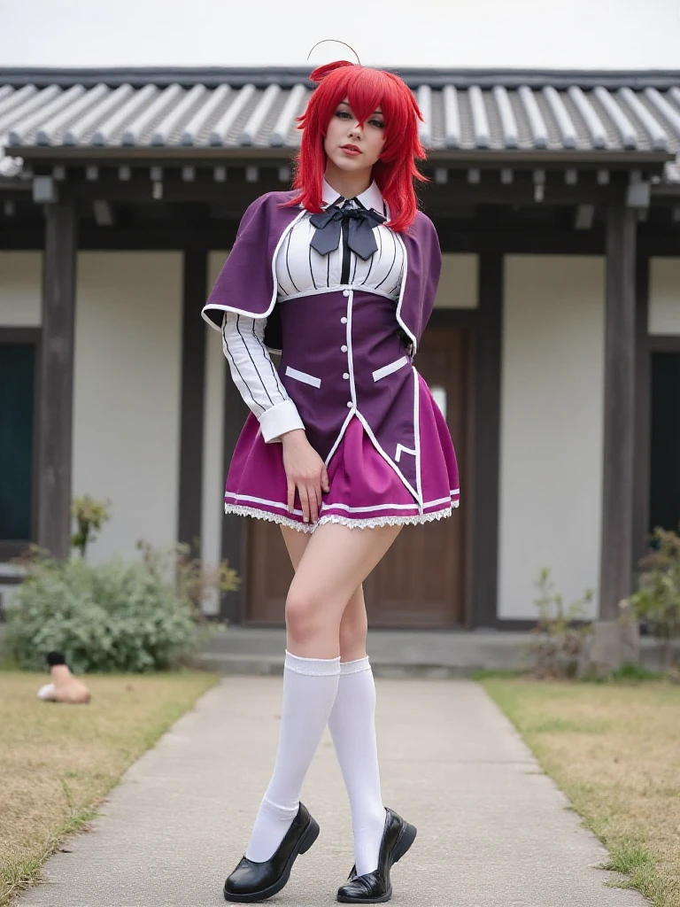 Featured image #5 for Rias Gremory - High School DxD - Flux1.D