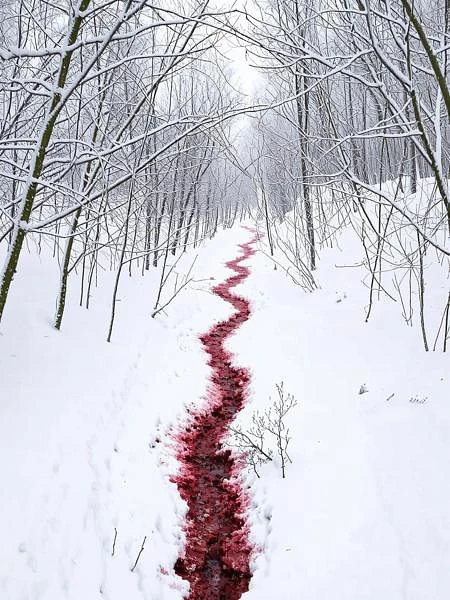 Featured image #1 for Blood on Snow - Pony & Flux
