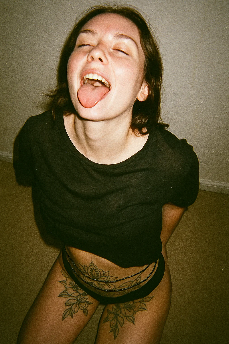 A sample prompt of what you can find in this page