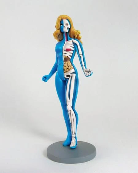 Featured image #6 for Skeleton Toy