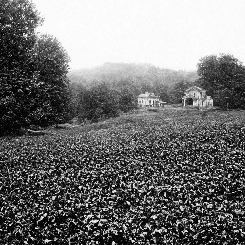 Featured image #4 for Antique SDXL