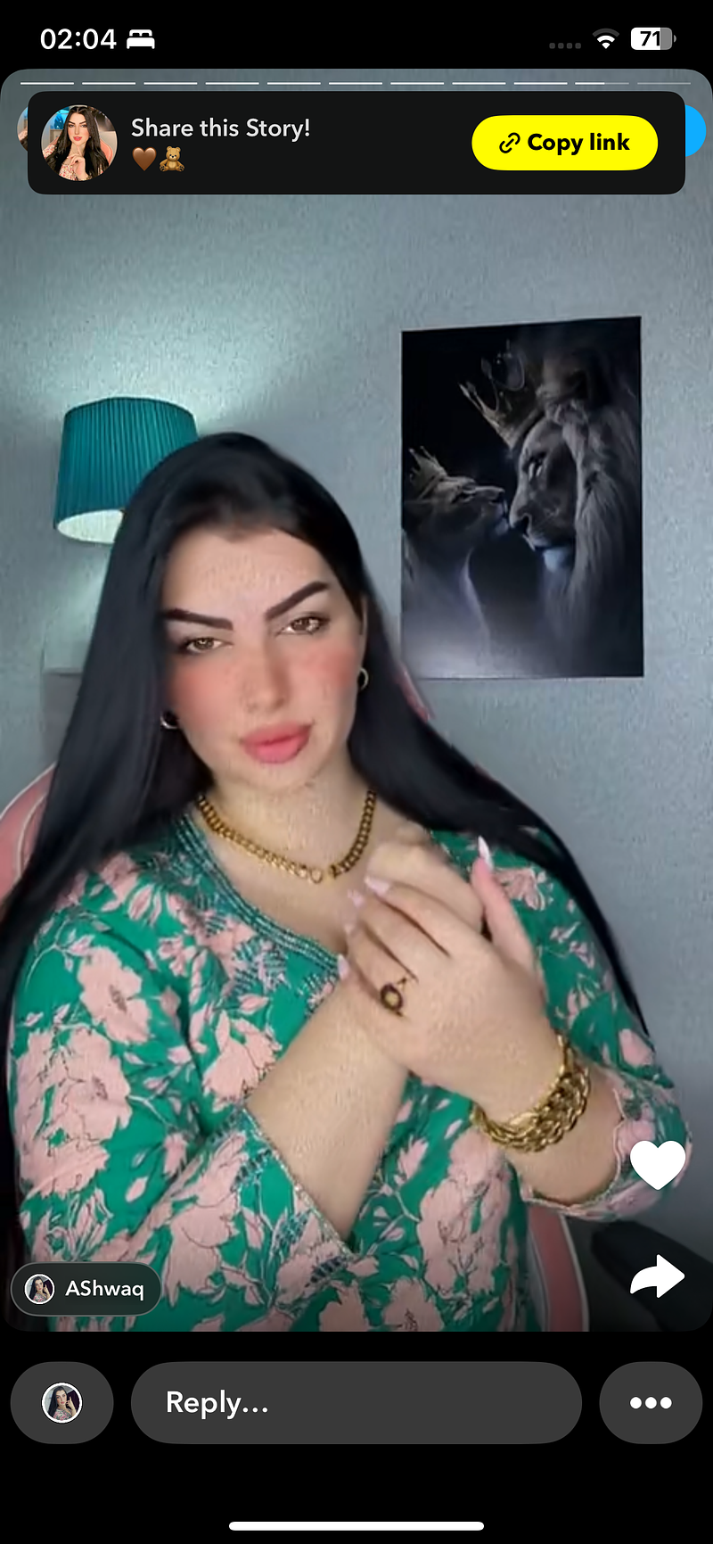 A sample prompt of what you can find in this page